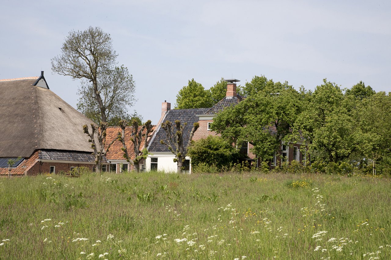 Monumentale boerderij op een wierde.