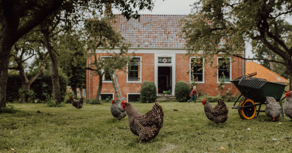 De SKKW presenteert: Mart Hillen